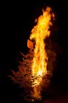 30.03.2024 Osternachtsfeier